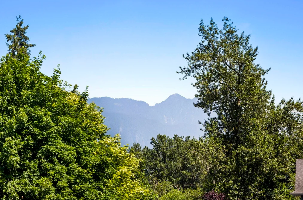 20619 123 AVENUE, Maple Ridge BC V2X 4B1, Maple Ridge BC — Residential for Sale — Photo 3 of 40