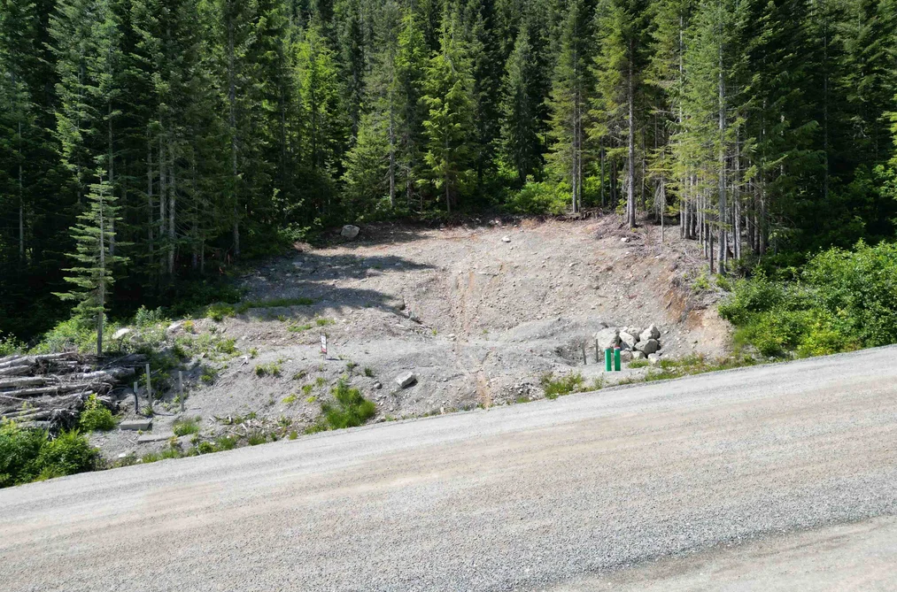 Property for sale at 20689 Edelweiss Drive Mission British Columbia - MLS: R3080774