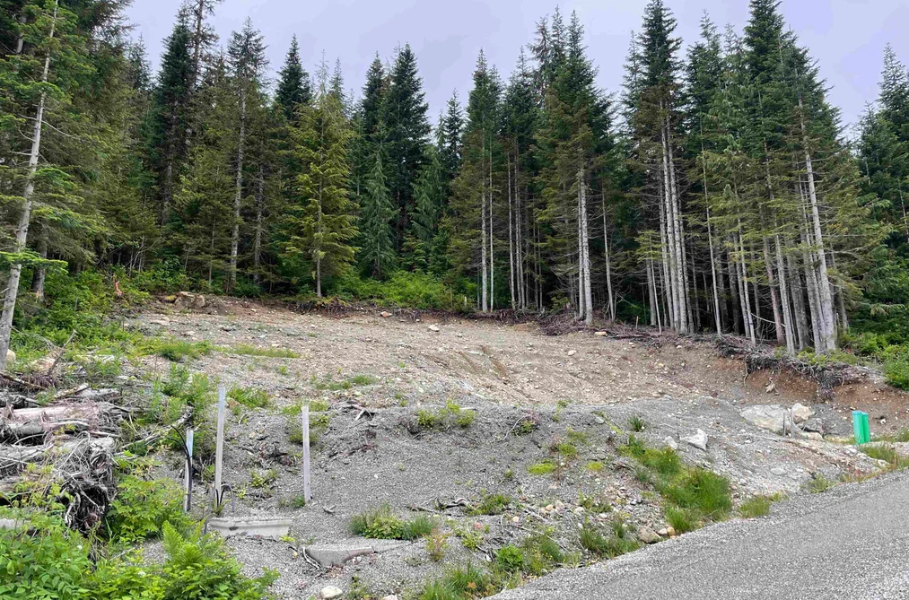20689 EDELWEISS DRIVE, Mission BC V0M 1A1, Mission BC — Land for Sale - Photo 7