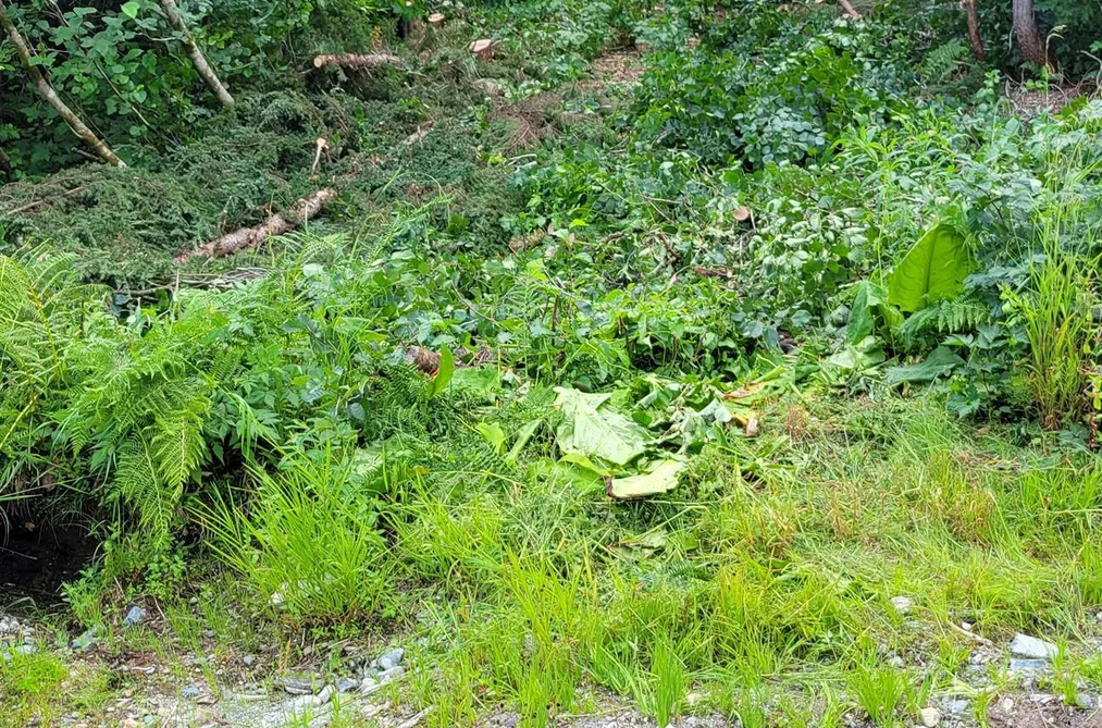 20698 EDELWEISS DRIVE, Mission BC V0M 1A1, Mission BC — Land for Sale - Photo 2