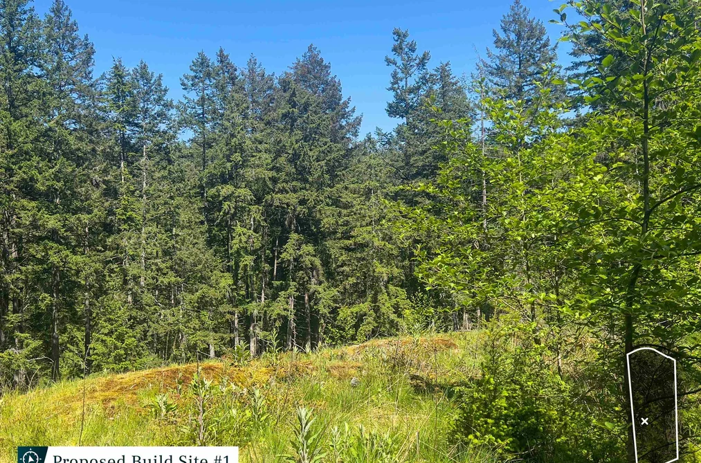 2070 CAPE DRIVE, Bowen Island BC V0N 1G2, Bowen Island BC — Land for Sale - Photo 3