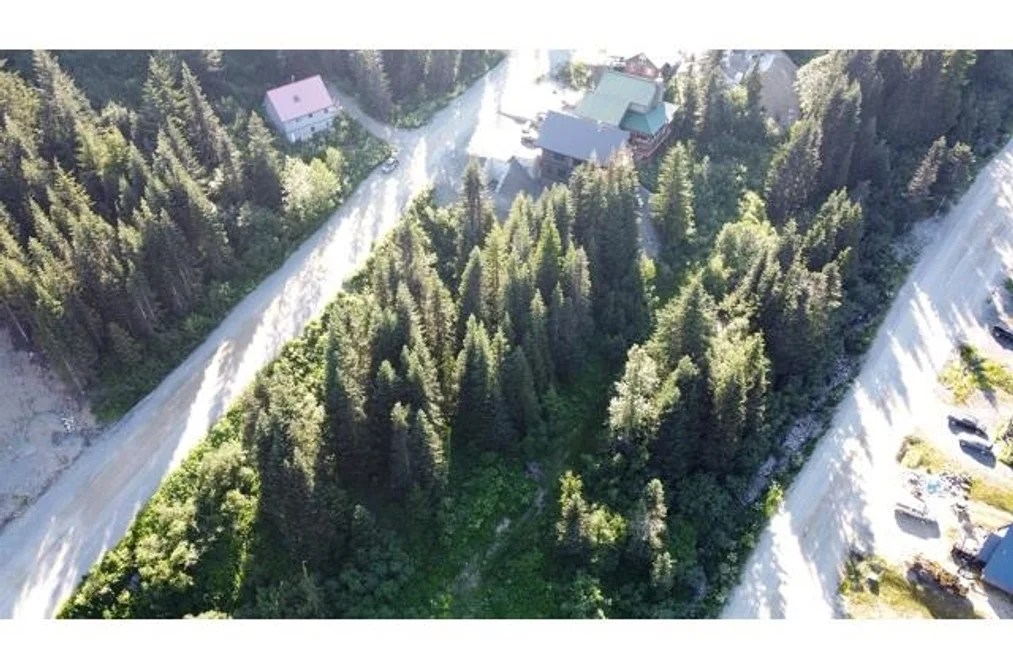 20708 EDELWEISS DRIVE, Agassiz BC V0M 1A1, Agassiz BC — Land for Sale - Photo 2