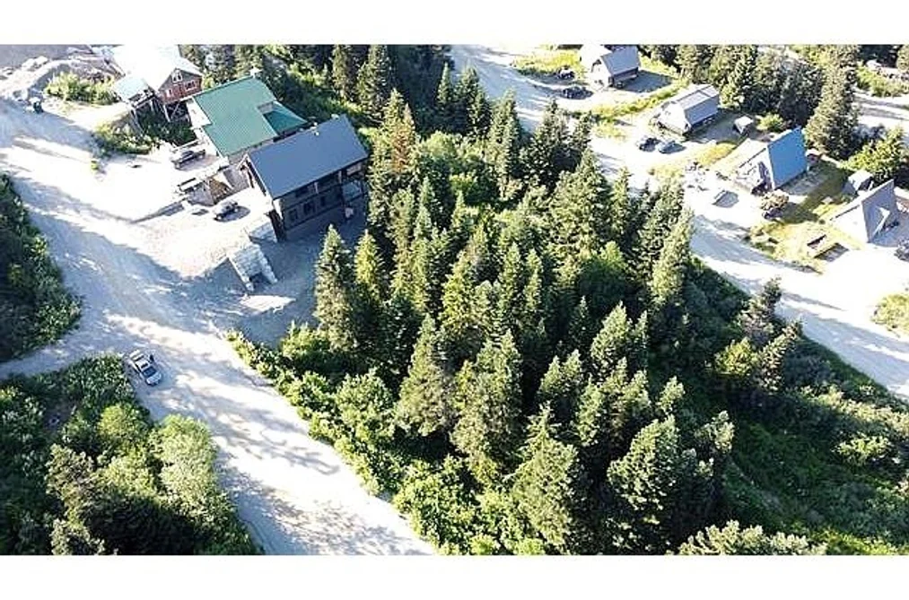 20708 EDELWEISS DRIVE, Agassiz BC V0M 1A1, Agassiz BC — Land for Sale - Photo 3