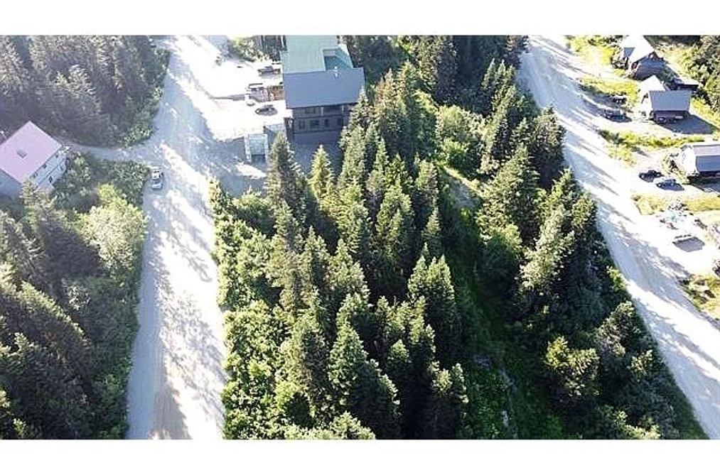 20708 EDELWEISS DRIVE, Agassiz BC V0M 1A1, Agassiz BC — Land for Sale - Photo 5