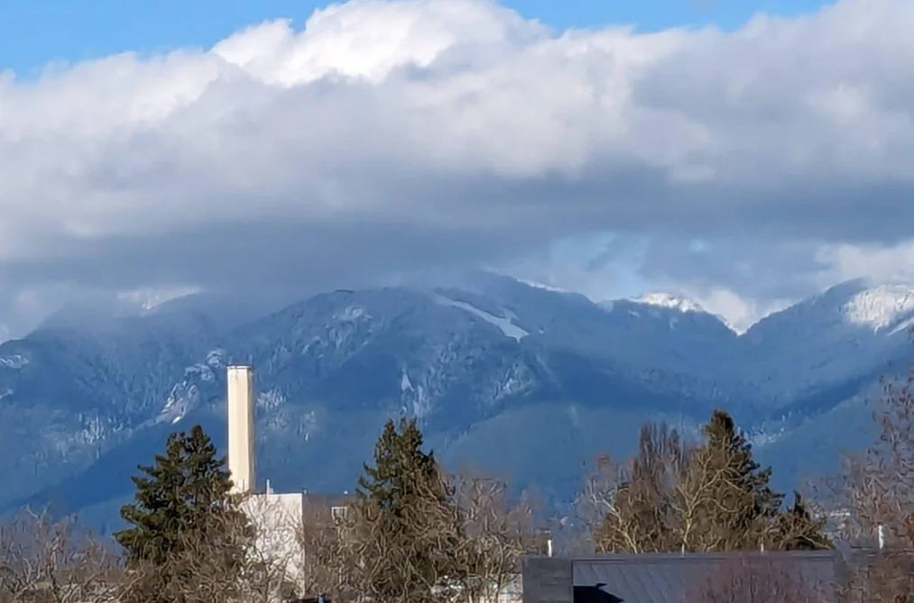 Condo for sale at 208 11240 Daniels Road Richmond British Columbia - MLS: R3072894