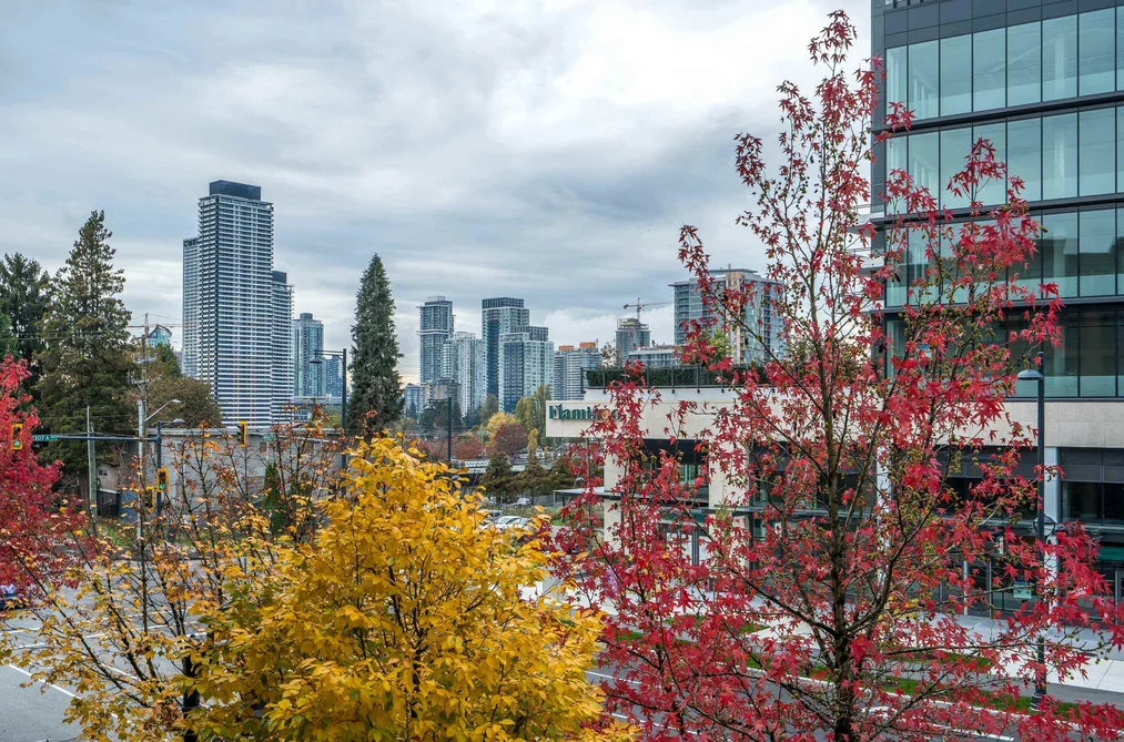 208 - 13733 107A Avenue, Surrey, BC - MLS: R3178871 - Photo 25 208 - 13733 107A Avenue, Surrey, BC - MLS: R3178871 - Photo 25