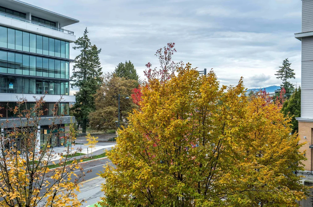208 - 13733 107A Avenue, Surrey, BC - MLS: R3178871 - Photo 26 208 - 13733 107A Avenue, Surrey, BC - MLS: R3178871 - Photo 26
