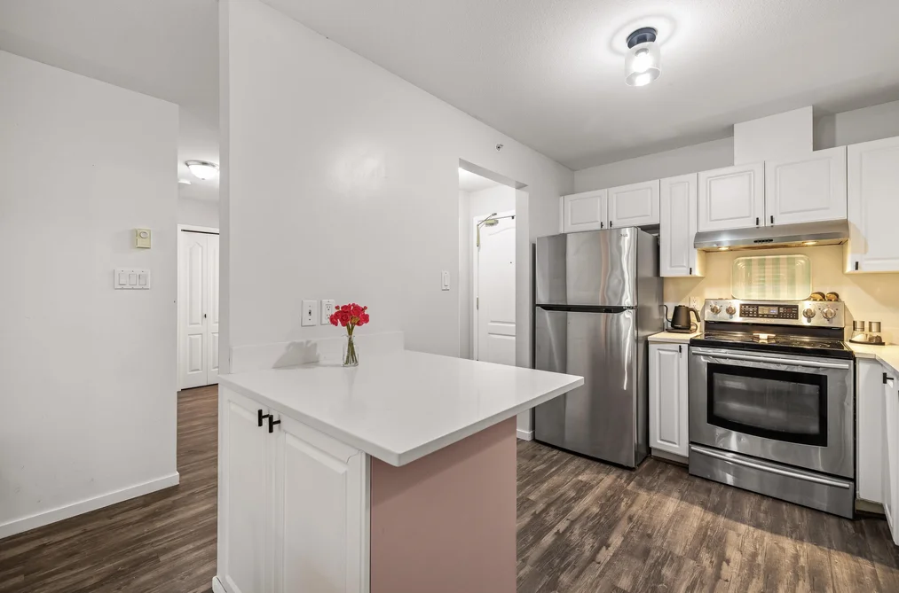 208 2551 PARKVIEW LANE, Port Coquitlam BC V3C 6J8, Port Coquitlam BC — Residential for Sale - Photo 3