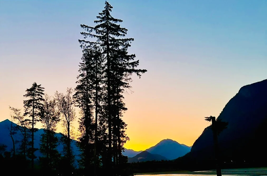 20808 LANDSTROM ROAD, Hope BC V0X 1L3, Hope BC — Land for Sale - Photo 2