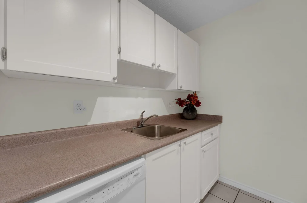 209 10220 RYAN ROAD, Richmond BC V7A 4R1, Richmond BC — Residential for Sale — Photo 9 of 28