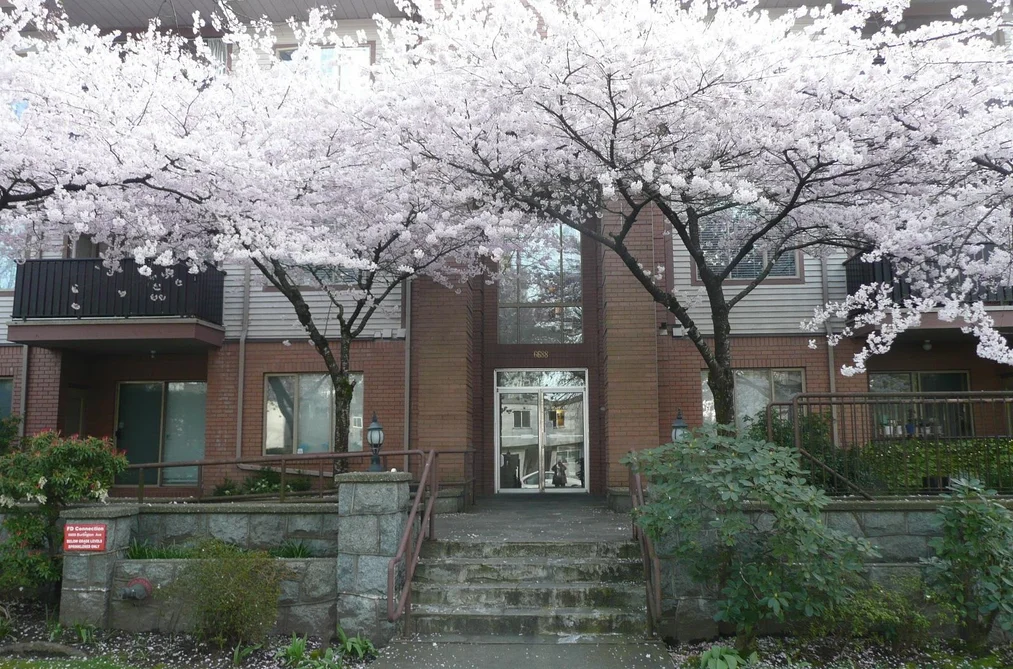 Condo for sale at 209 6688 Burlington Avenue Burnaby British Columbia - MLS: R3106766