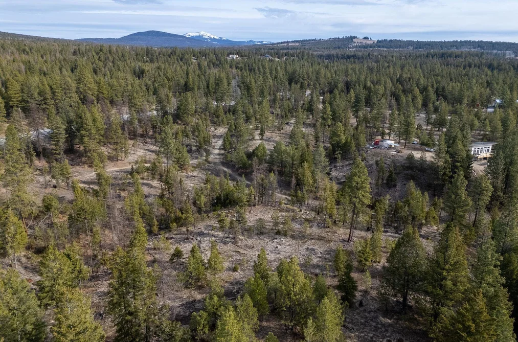 21 NINE MILE PLACE, No City Value BC V0H 1V6, No City Value BC — Land for Sale - Photo 3