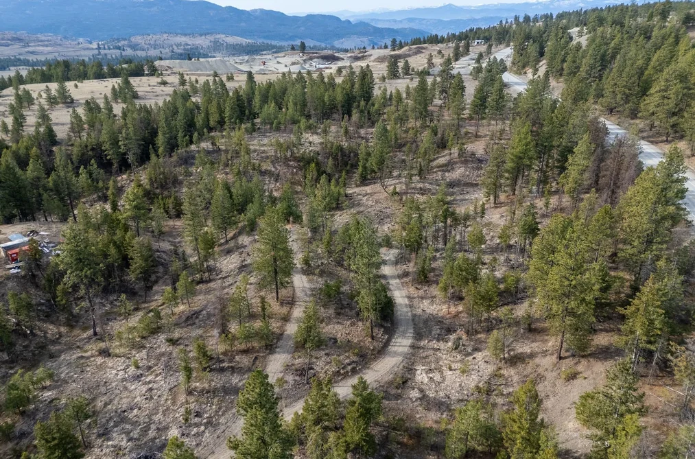 21 NINE MILE PLACE, No City Value BC V0H 1V6, No City Value BC — Land for Sale - Photo 6