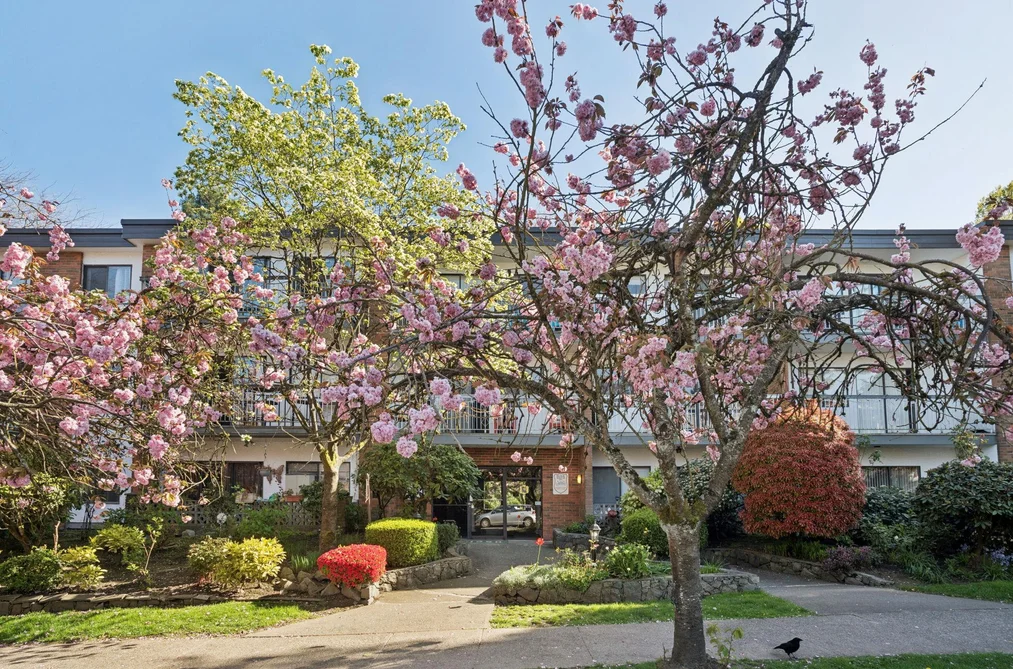 Condo for sale at 213 1950 W 8th Avenue Vancouver British Columbia - MLS: R3129516