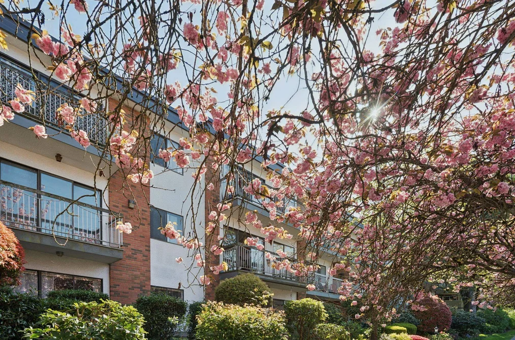 213 1950 W 8TH AVENUE, Vancouver BC V6J 1W3, Vancouver BC — Residential for Sale - Photo 2
