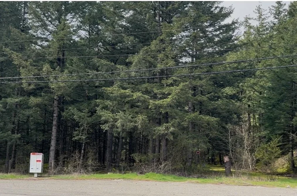 21437 HAIG STATION ROAD, Hope BC V0X 1L3, Hope BC — Land for Sale - Photo 6