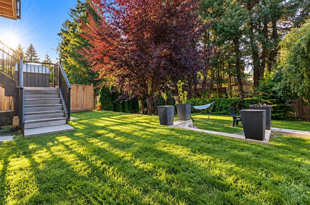 21492 Donovan Avenue, Maple Ridge, BC - MLS: R3165228 - Photo 39 21492 Donovan Avenue, Maple Ridge, BC - MLS: R3165228 - Photo 39