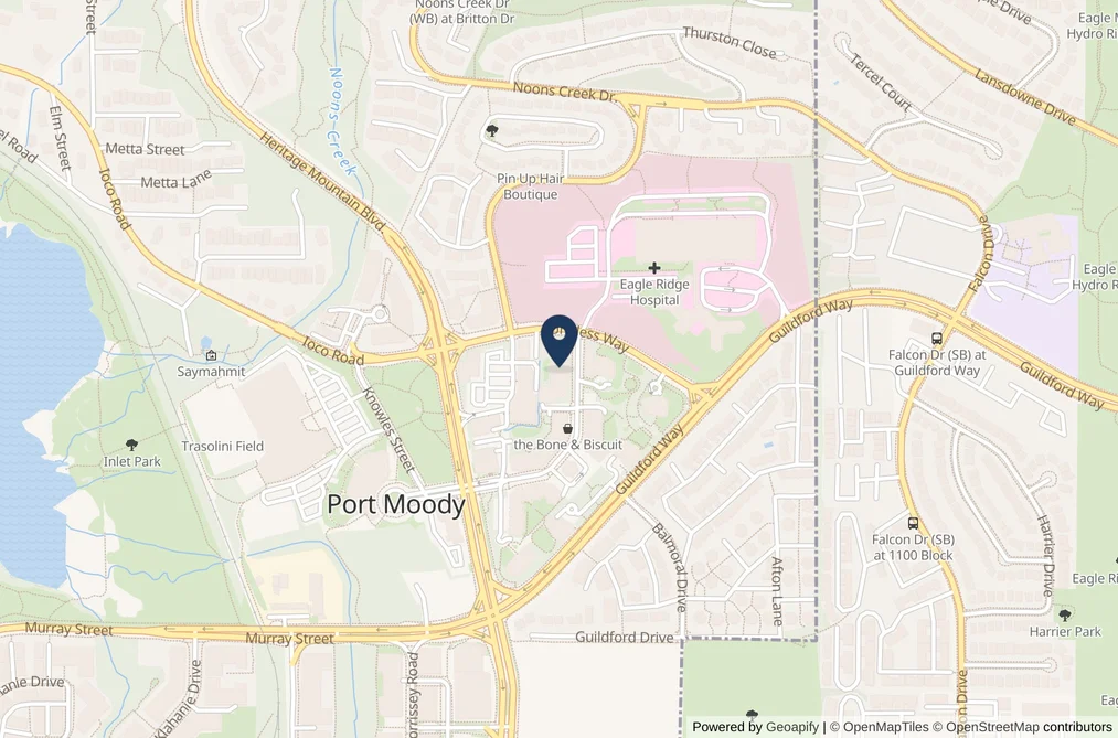 285 Newport Dr Unit 215, Port Moody, BC - MLS: R3172652