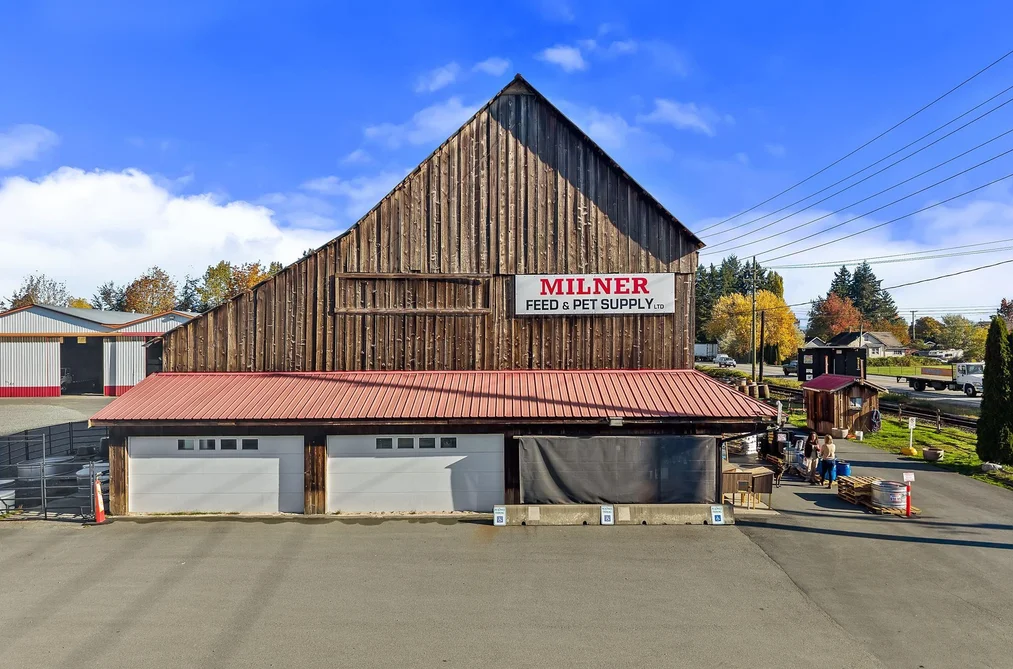 21533 Crush Cres, Langley, BC - MLS: R3176267