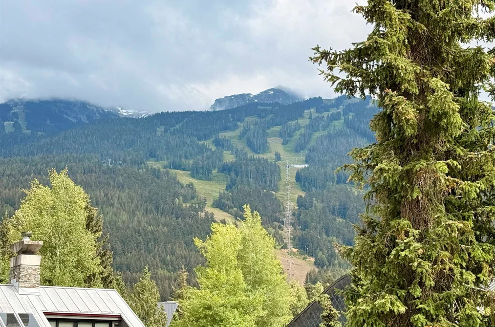 216 4338 MAIN STREET, Whistler BC V8E 1B4, Whistler BC — Residential for Sale — Photo 21 of 21