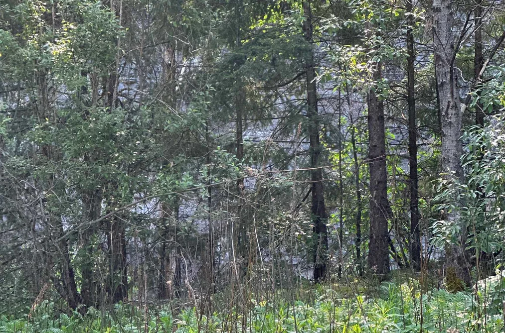 21647 THACKER MTN ROAD, Hope BC V0X 1L1, Hope BC — Land for Sale - Photo 4