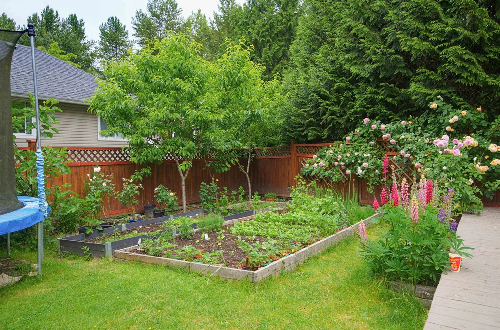 21657 92B AVENUE, Langley BC V1M 0A3, Langley BC — Residential for Sale — Photo 38 of 40