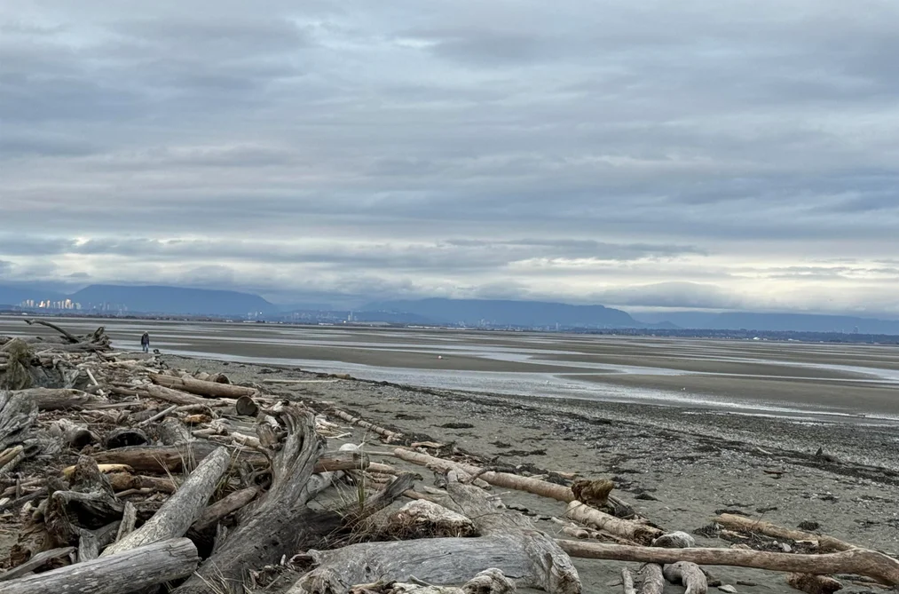 House for sale at 225 67a Avenue Delta British Columbia - MLS: R3089824