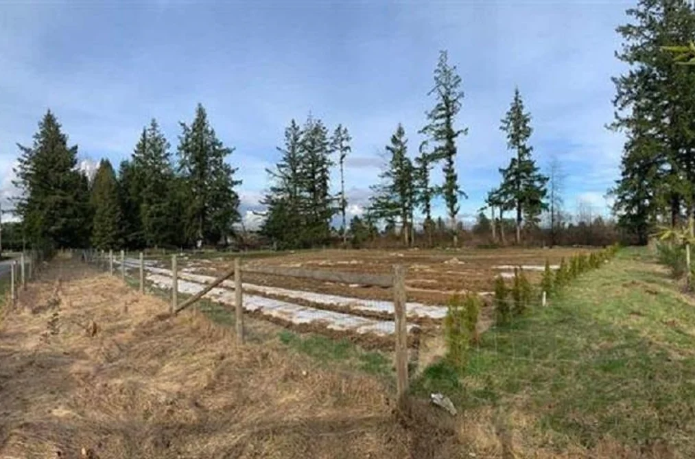 Property for sale at 2288 206 Street Langley British Columbia - MLS: R3129918