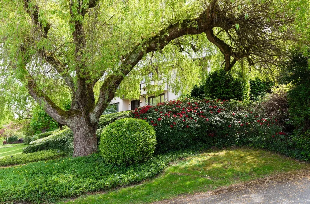 2296 W 32ND AVENUE, Vancouver BC V6L 2B2, Vancouver BC — Residential for Sale - Photo 6