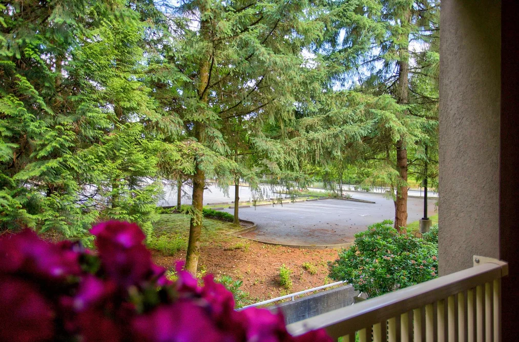 230 1252 TOWN CENTRE BOULEVARD, Coquitlam, BC — Residential for Sale — Photo 20 of 37