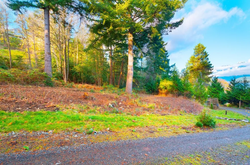 230 MOONWINKS DRIVE, Bowen Island BC V0N 1G1, Bowen Island BC — Land for Sale - Photo 5