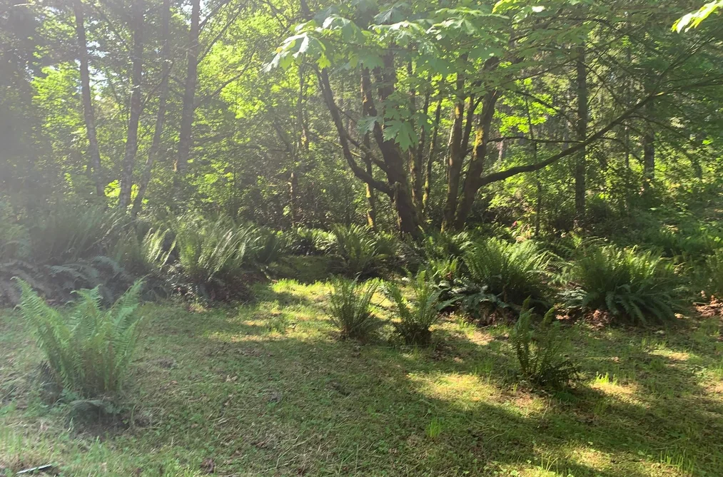 23180 PORLIER PASS ROAD, Galiano Island BC V0N 1P0, Galiano Island BC — Residential for Sale - Photo 4