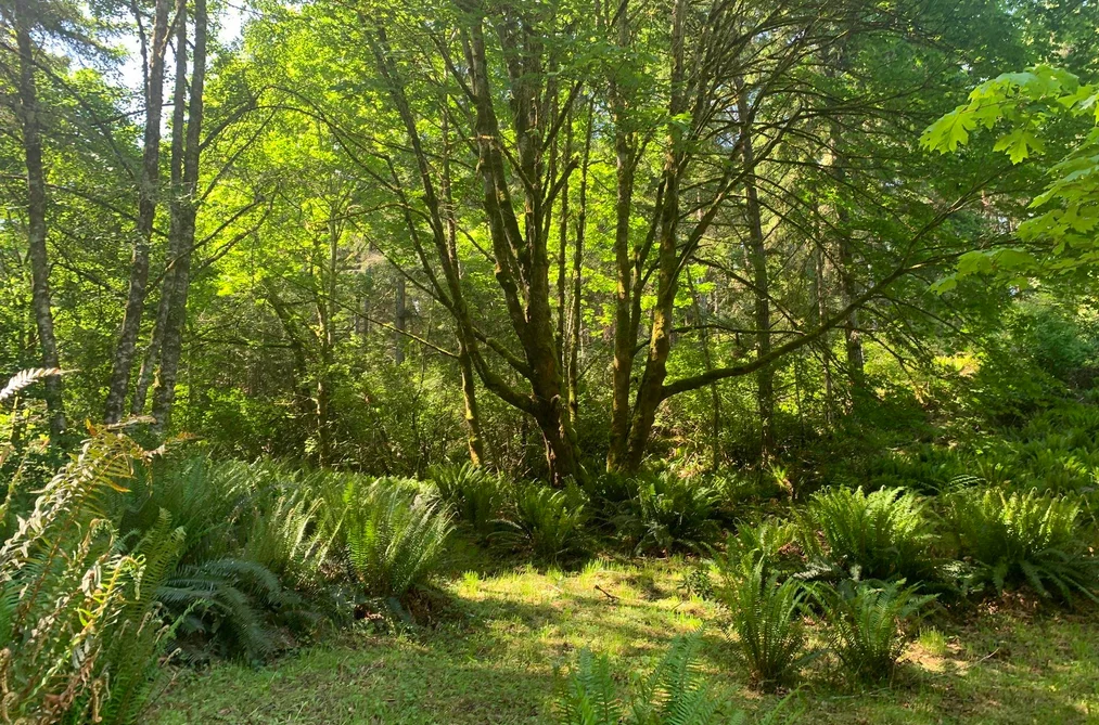 23180 PORLIER PASS ROAD, Galiano Island BC V0N 1P0, Galiano Island BC — Residential for Sale - Photo 5