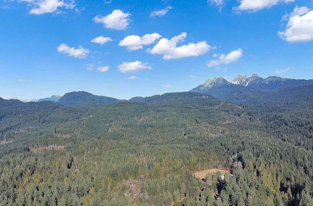 23215 141 AVENUE, Maple Ridge BC V4R 2R4, Maple Ridge BC — Residential for Sale - Photo 6