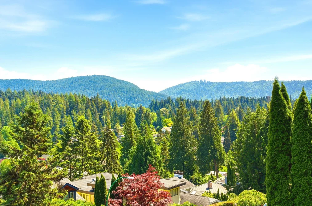 2323 Badger Road, North Vancouver, BC - MLS: R3163996 - Photo 5 2323 Badger Road, North Vancouver, BC - MLS: R3163996 - Photo 5