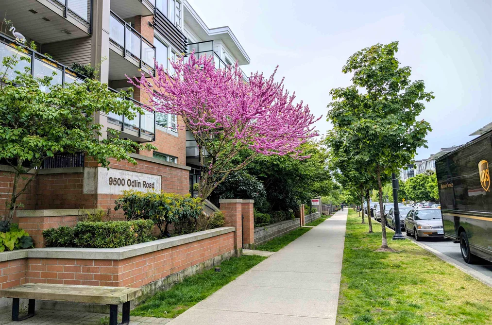 Condo for sale at 235 9500 Odlin Road Richmond British Columbia - MLS: R3104122