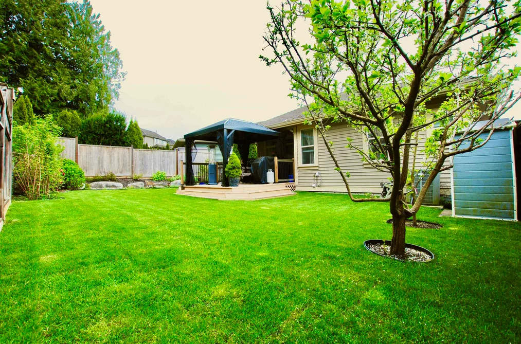 23611 BRYANT DRIVE, Maple Ridge BC V4R 0B7, Maple Ridge BC — Residential for Sale - Photo 4