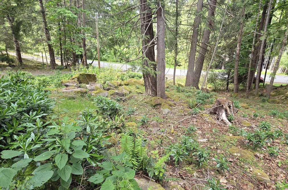 240 MARINERS WAY, Mayne Island BC V0N 2J2, Mayne Island BC — Land for Sale - Photo 3