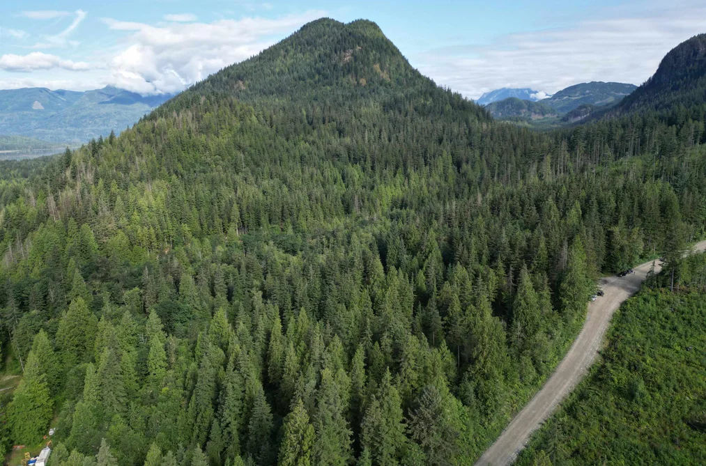 Property for sale at 241ac Sylvester Road Mission British Columbia - MLS: R3035886