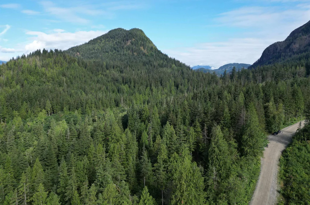 241AC SYLVESTER ROAD, Mission BC V2V 7G7, Mission BC — Land for Sale - Photo 4