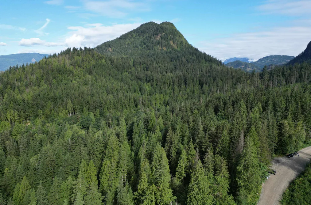 241AC SYLVESTER ROAD, Mission BC V2V 7G7, Mission BC — Land for Sale - Photo 5
