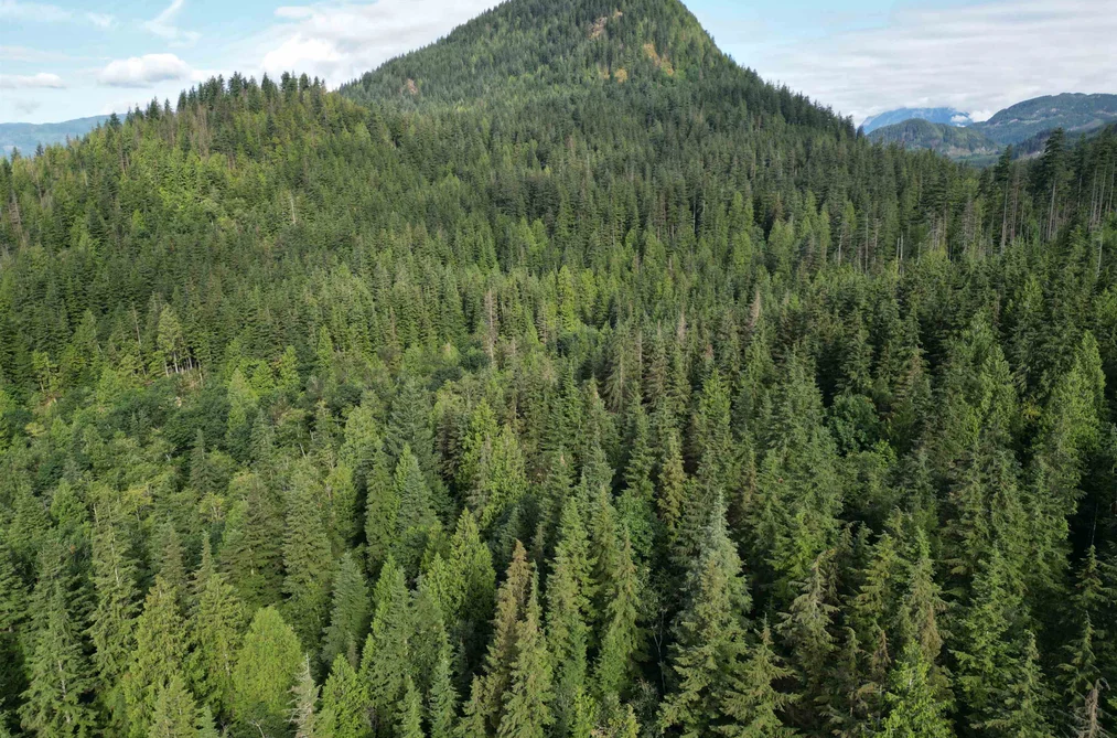 241AC SYLVESTER ROAD, Mission BC V2V 7G7, Mission BC — Land for Sale - Photo 6