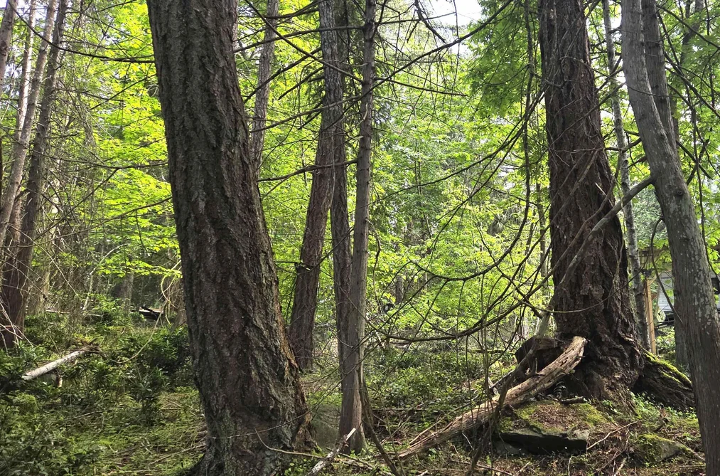 Property for sale at 242 Mariners Way Mayne Island British Columbia - MLS: R3118686