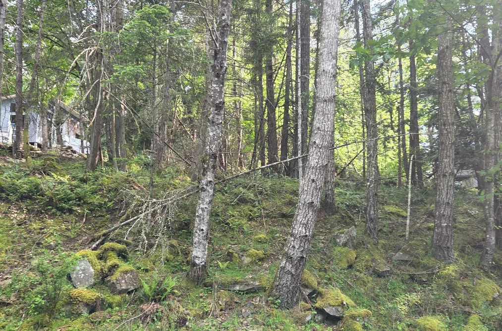 242 MARINERS WAY, Mayne Island BC V0N 2J2, Mayne Island BC — Land for Sale - Photo 3