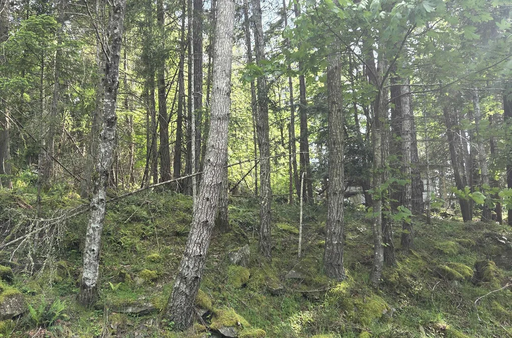 242 MARINERS WAY, Mayne Island BC V0N 2J2, Mayne Island BC — Land for Sale - Photo 5