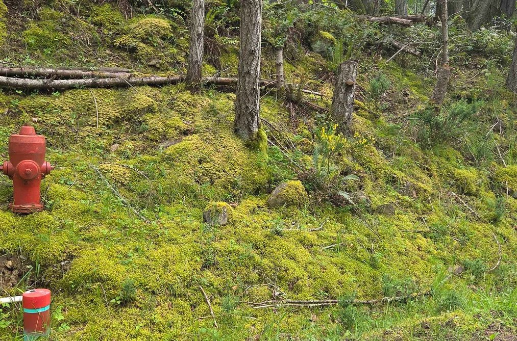 242 MARINERS WAY, Mayne Island BC V0N 2J2, Mayne Island BC — Land for Sale - Photo 6