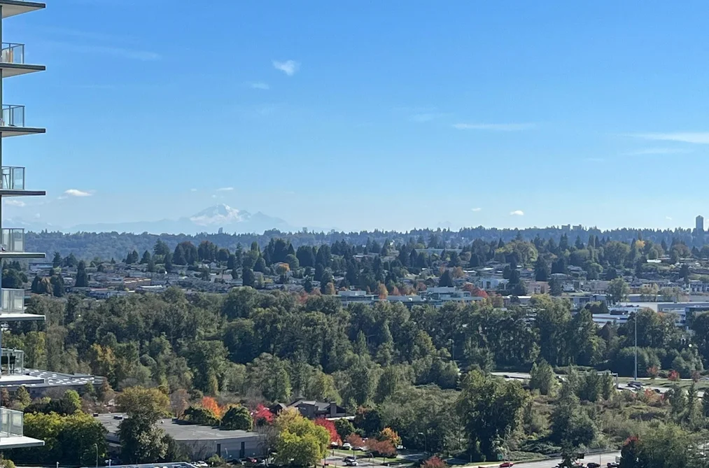 2355 Madison Ave Unit 2501, Burnaby, BC - MLS: R3160526