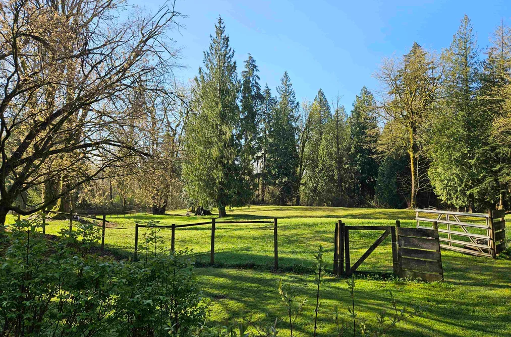 25080 4 AVENUE, Langley BC V4W 2H3, Langley BC — Residential for Sale - Photo 5