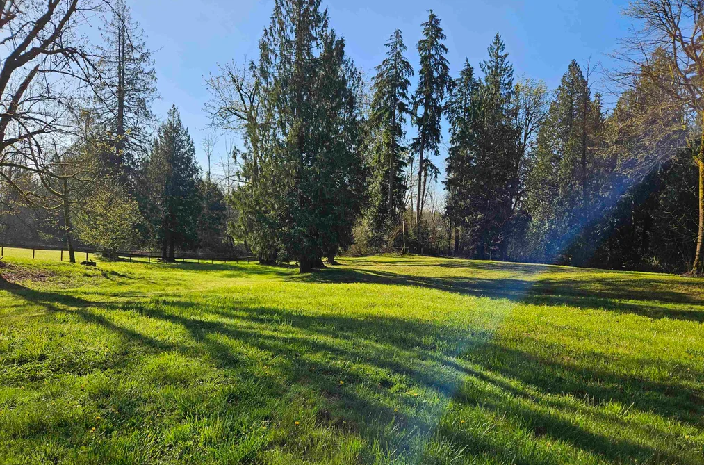 25080 4 AVENUE, Langley BC V4W 2H3, Langley BC — Residential for Sale - Photo 7