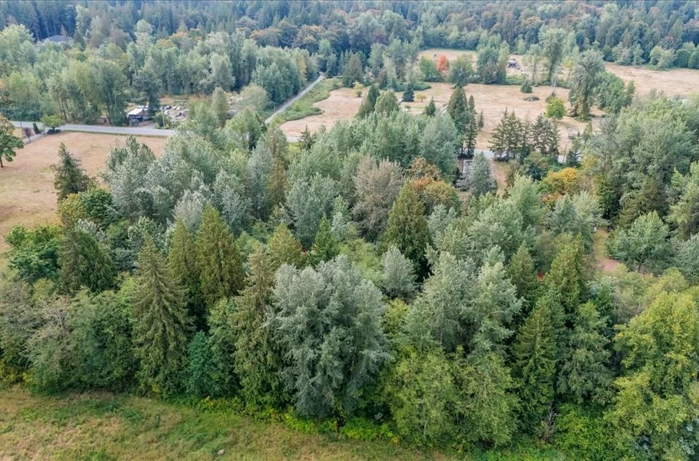 25181 100 Avenue, Maple Ridge, BC - MLS: R3164768 - Photo 3 25181 100 Avenue, Maple Ridge, BC - MLS: R3164768 - Photo 3